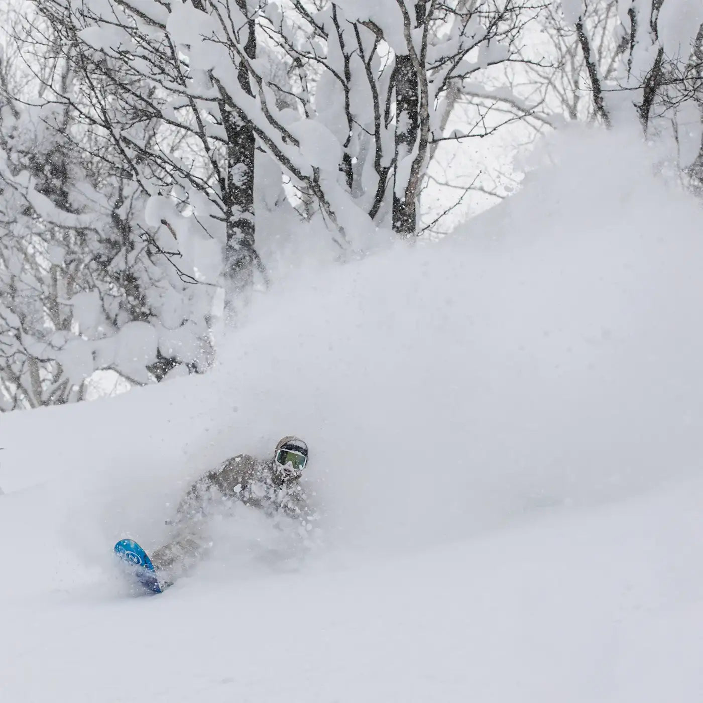 Nidecker Beta snowboard poudreuse swallowtail