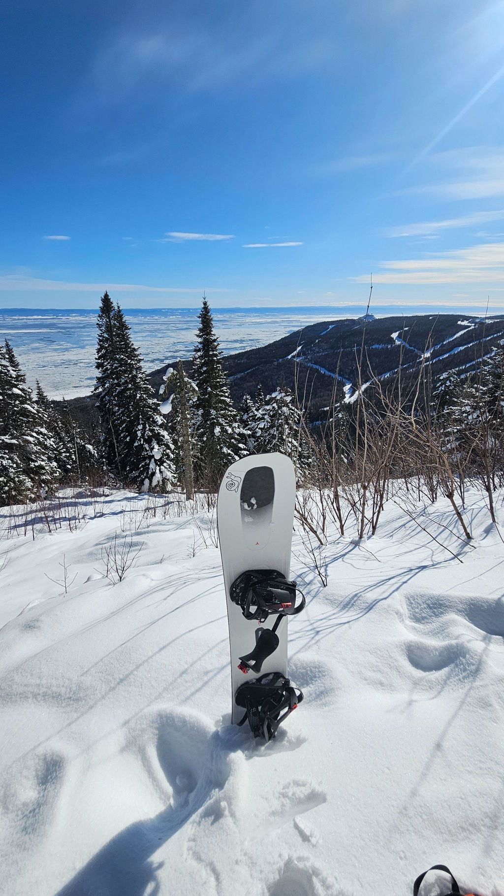 Nidecker Megalight snowboard 161 carbone freeride