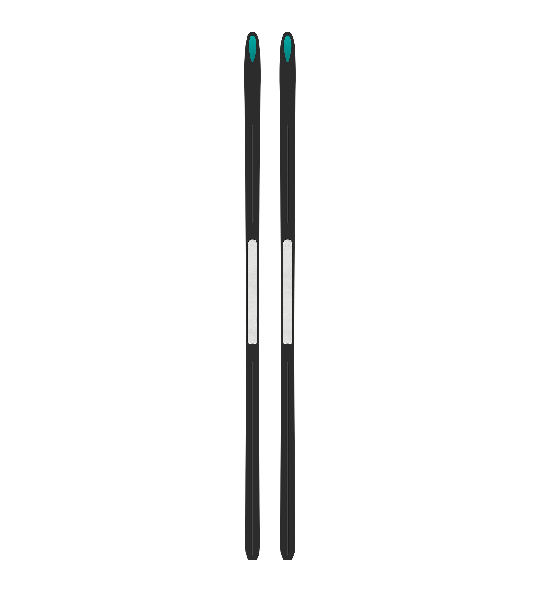 Kastle XA20 Classic ski de fond 170 Crown Medium écailles