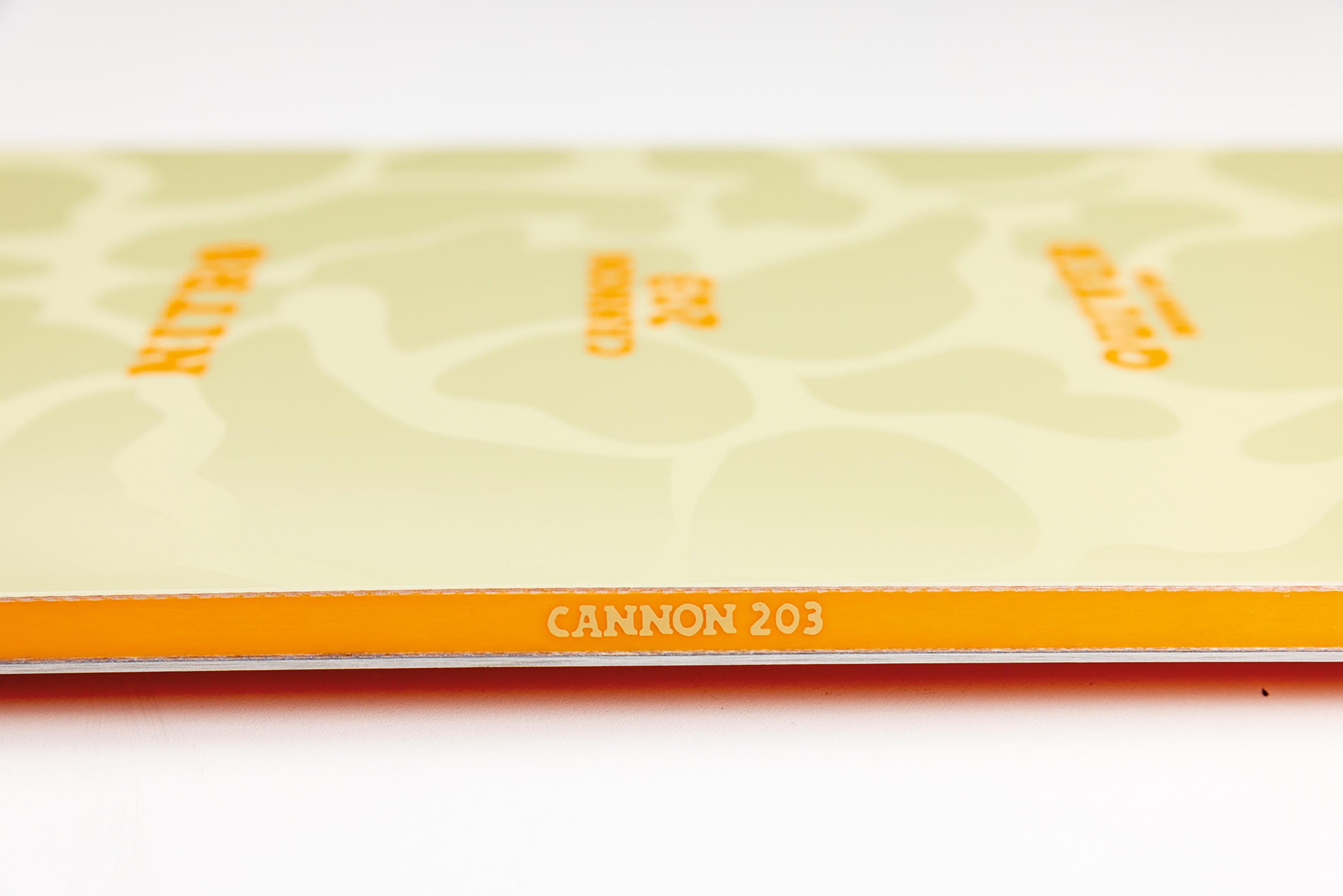 Nitro Cannon 203 snowboard poudreuse swallowtail