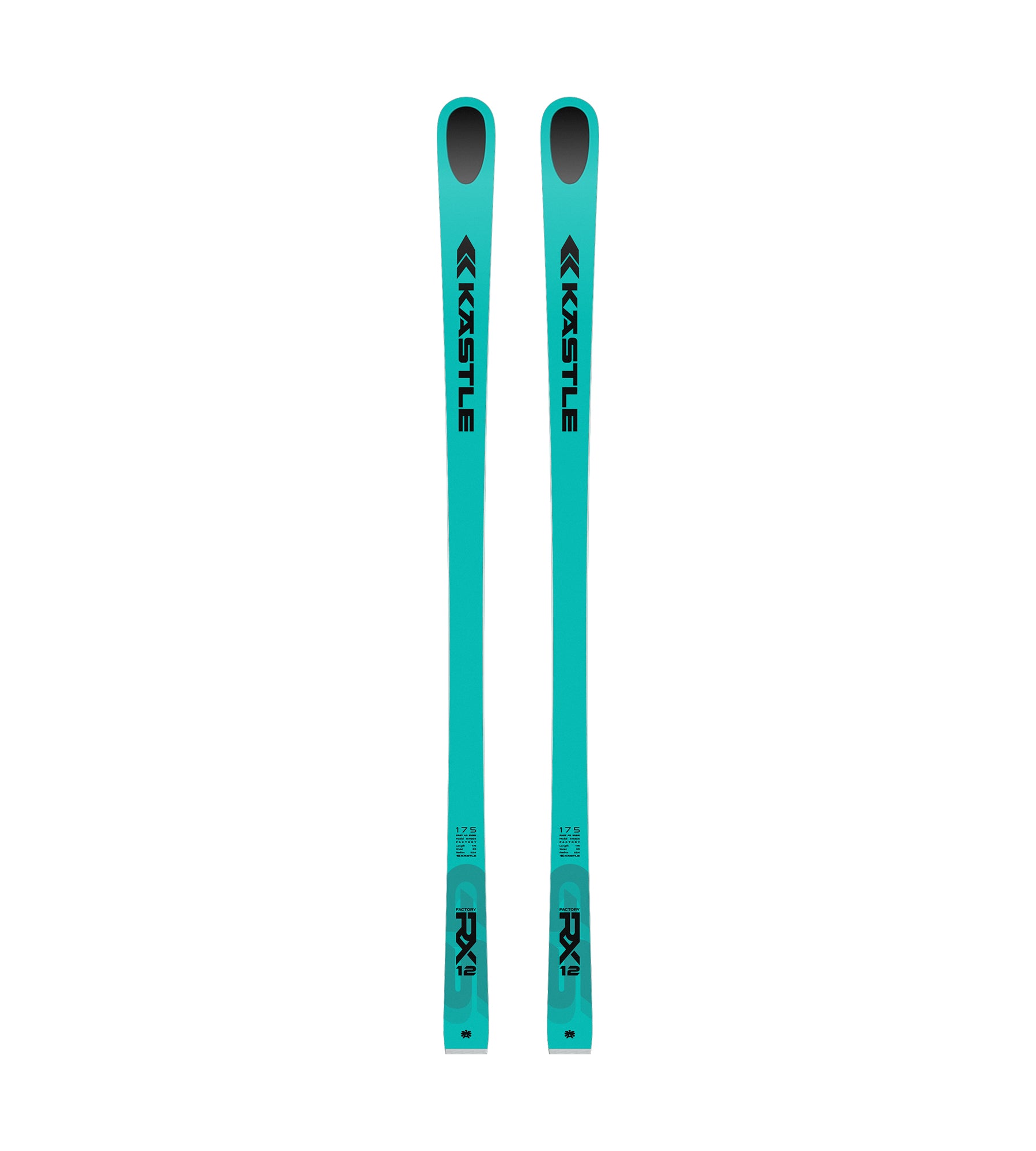 Kastle RX12 GS Factory FIS ski course 175 cm Raceplate