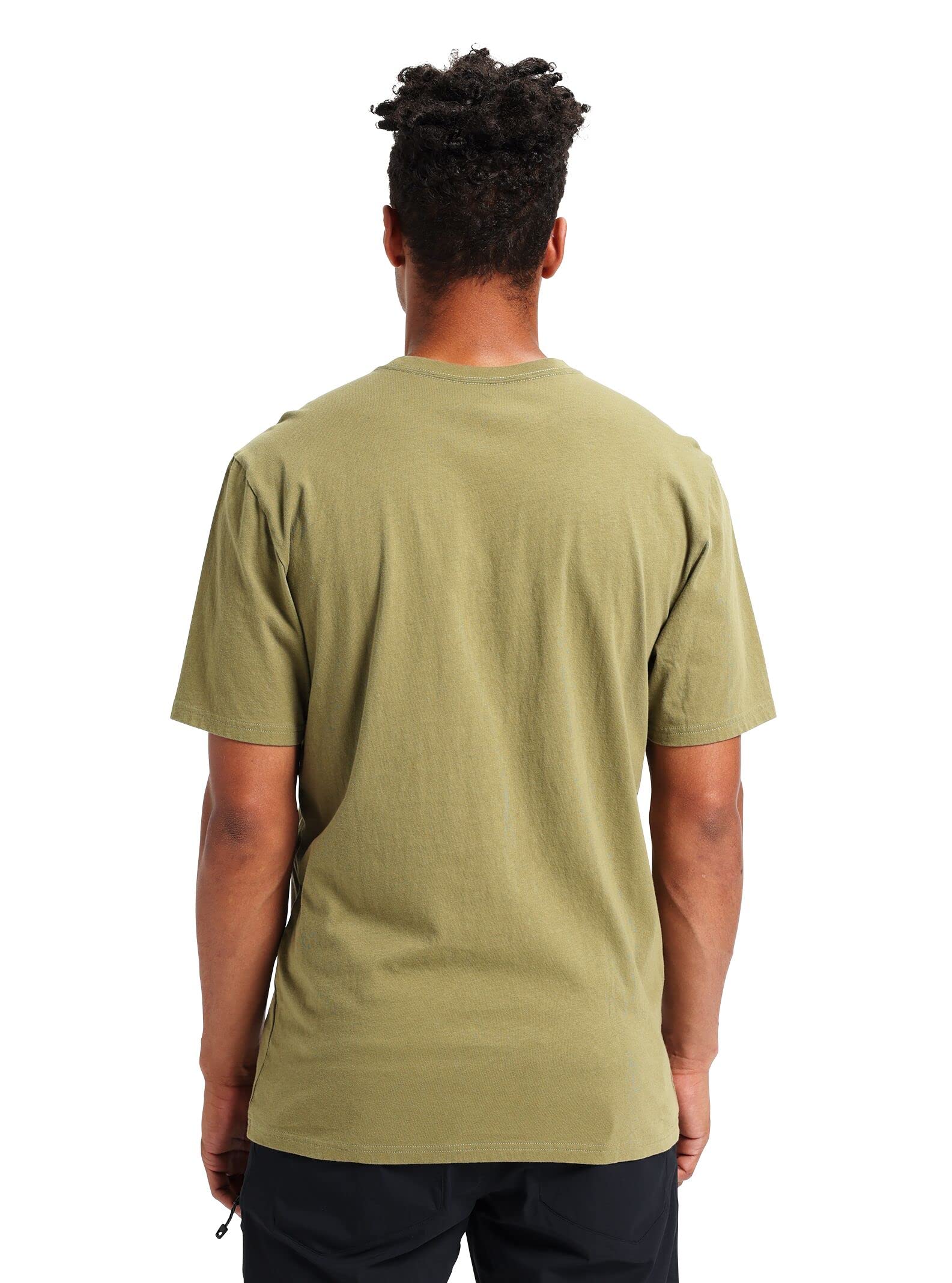 Burton Horizontal Mountain T-Shirt Homme Coton Bio