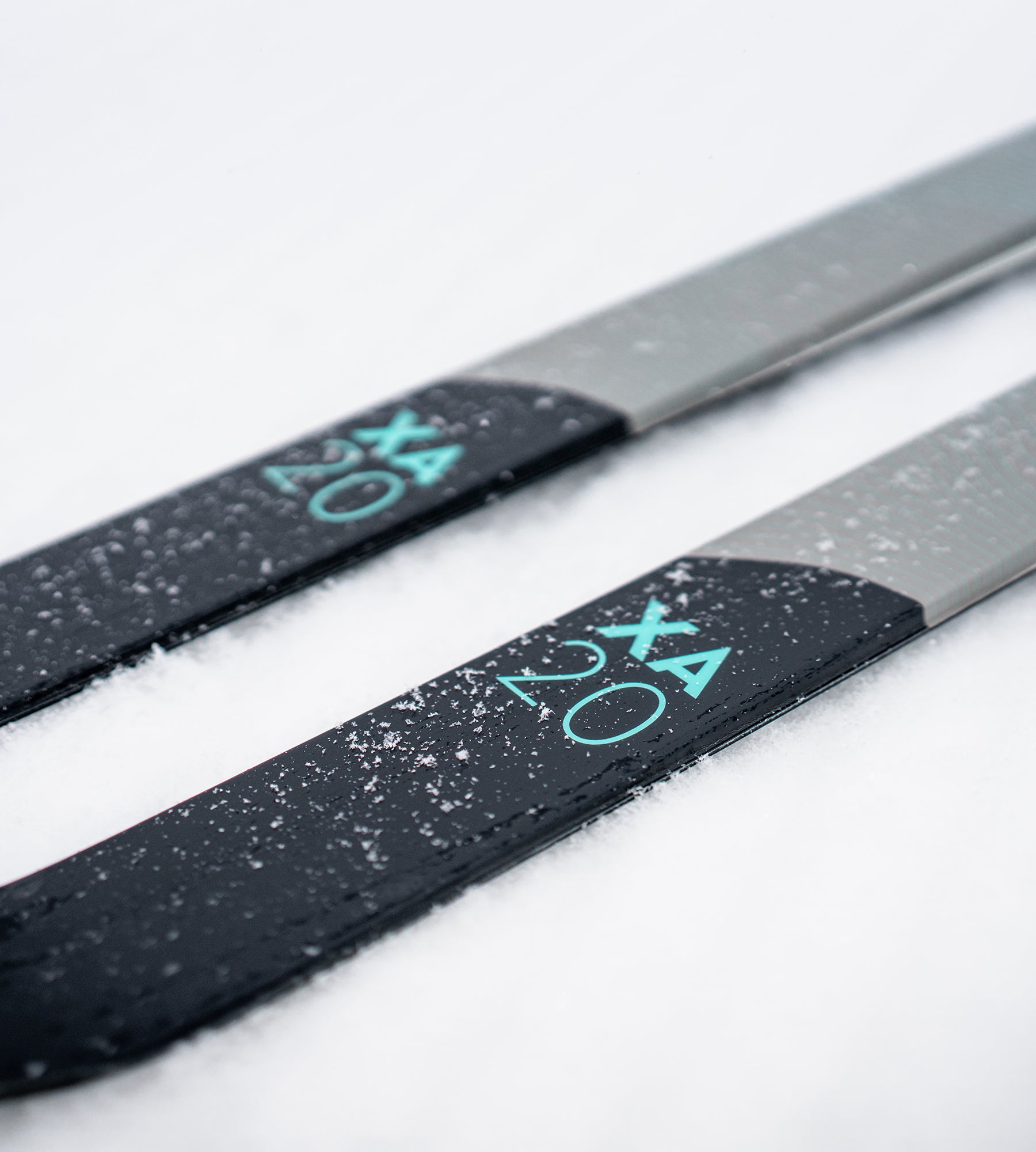 Kastle XA20 Classic ski de fond 170 Crown Medium écailles