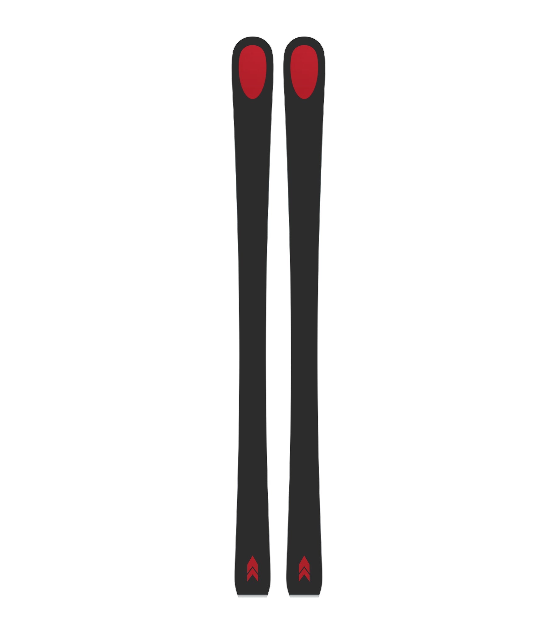 Kastle Legend 1956 Ski Allmountain 173 Carbone